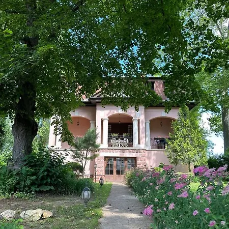 Party Rent Villa *