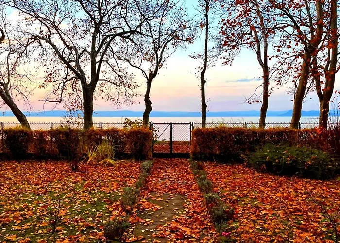 Party Rent 别墅 Balatonföldvár